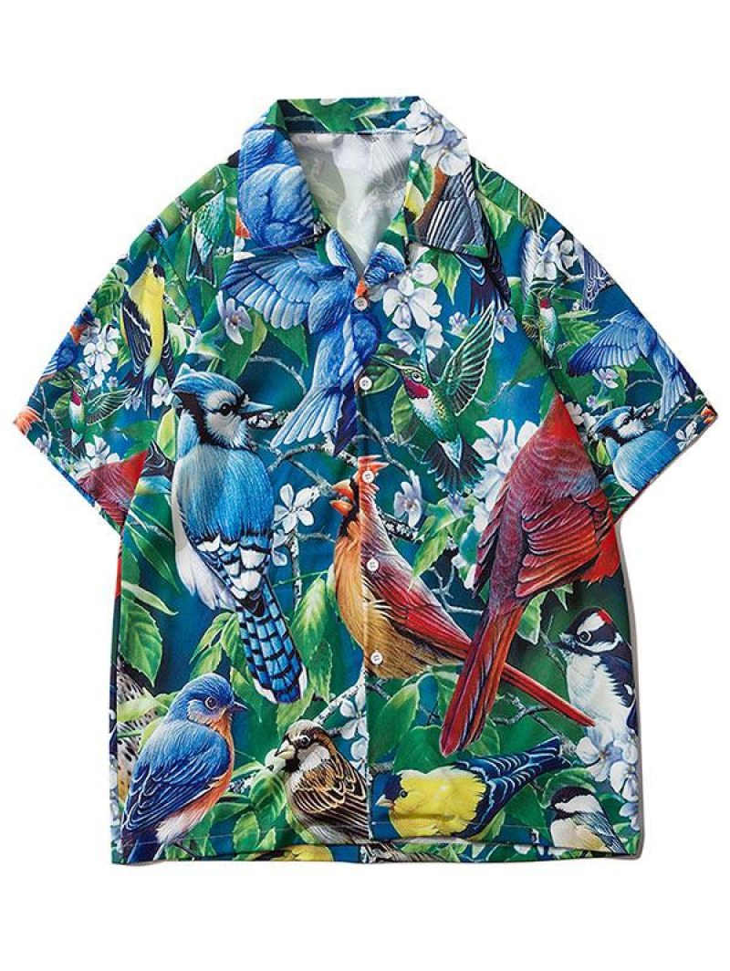 Parrot Tropical Print Vacation Hawaiian Shirt