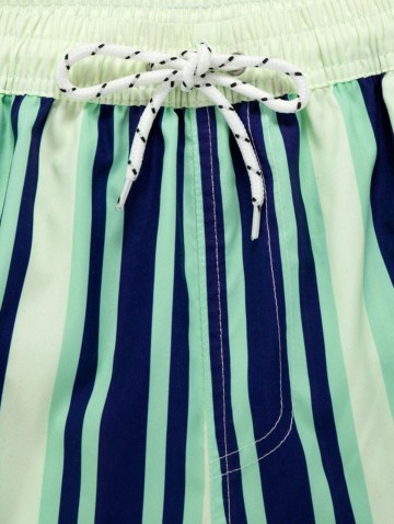 Vertical Stripe Print Casual Pocket Beach Shorts